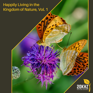 Enjoying New York Oceans