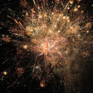 当初是你先靠近 L桃籽