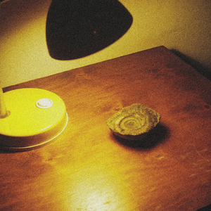 Fossils