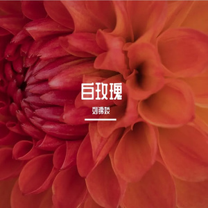 相遇的那一刻_主