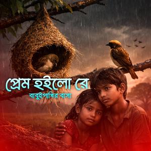 প্রেম হইলো রে বাবুইপাখির বাসা