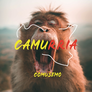 Camurria