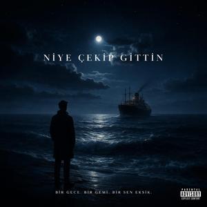 NİYE ÇEKİP GİTTİN