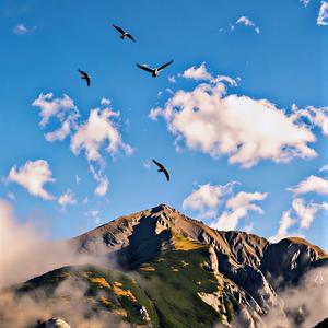 Fraților (Romanian Folklore)