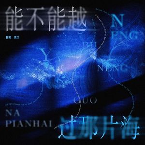 能不能越过那片海