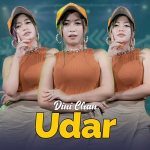 Udar