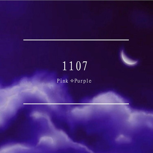1107（Pt.2）