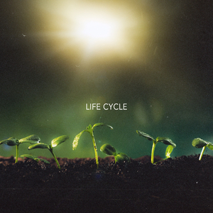 life cycle