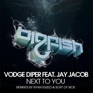 Next To You (Vodge Diper Remix)