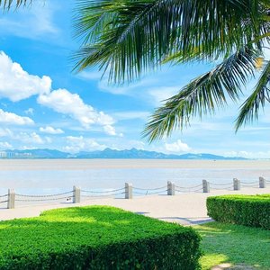 你做了我梦里的人（翻自 小月）