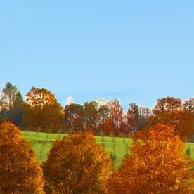 独享浮世清欢 (3)