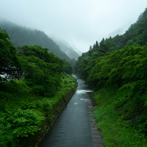 等不到天亮（古筝）
