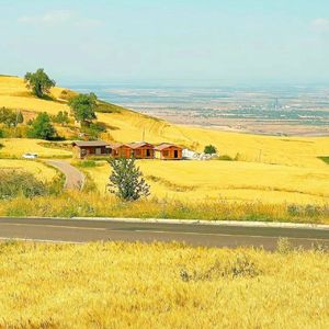 向上生长的春天