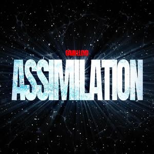 ASSIMILATION