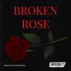 Broken Rose