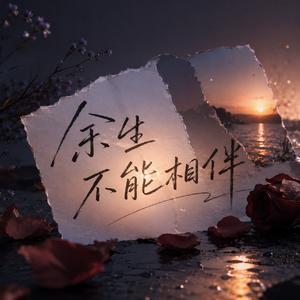 余生不能相伴 (你丢下我爱上了谁)