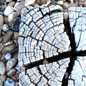 Some Wonder (Felix Gauder Remix Full Length)