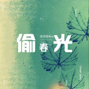 偷春光 (DJheap九天版)