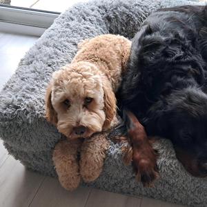 Friendship