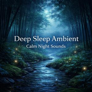 DEEP SLEEP AMBIENT (Calm Night Sounds)