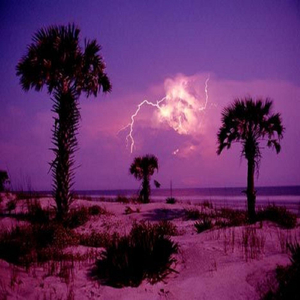 Hurricanes