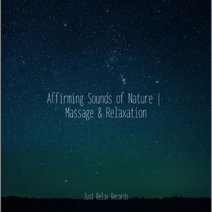 Echoes of Broken Glass