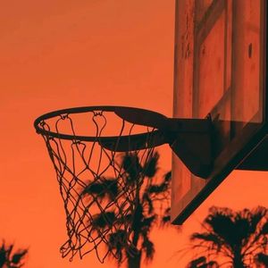 vgg某个玫瑰 (155)