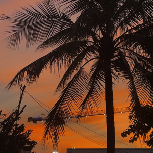 หนึ่งร้อยสิบสามวัน