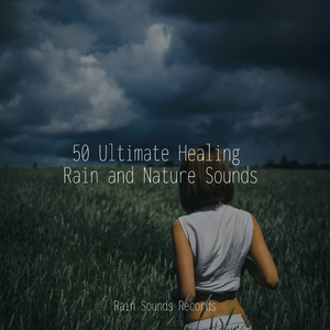 Dancing Petals Under Grey Skies