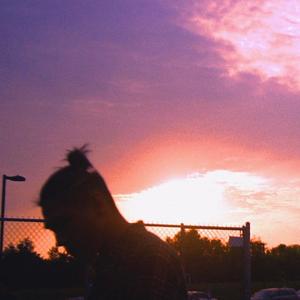 Fall In (feat. Lukey & raphael.)