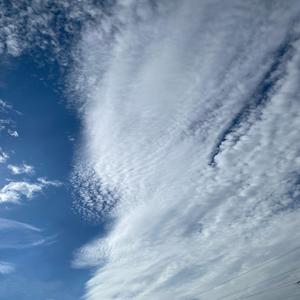 Tomorrow You Won't Be Mine