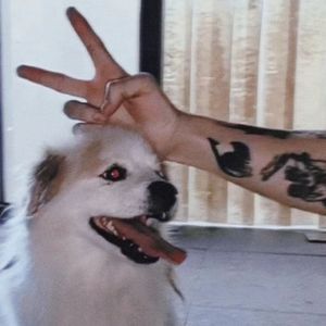 童话 偷米杀不死