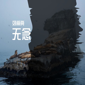 你的答案指弹.wav