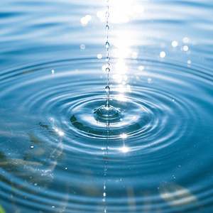 吞水声悠远钢琴声：池塘、月光、梦幻、安详