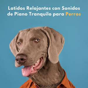 Ritmos Tranquilos Para Perros