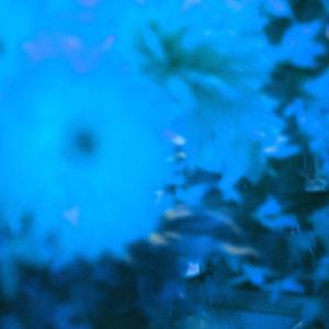 Being Present Is Boring