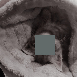 i'm slowly forgetting your face