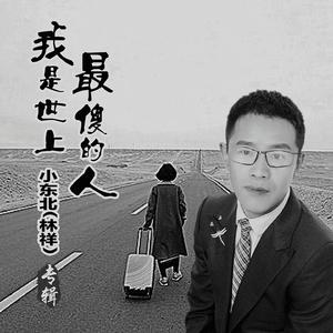 我是世上最傻的人