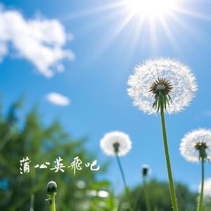 蒲公英飞吧