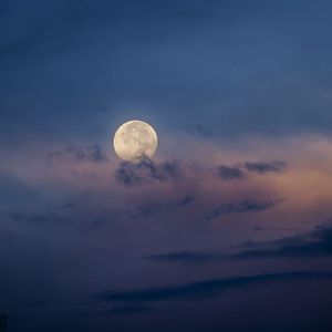 淡月微云皆似梦