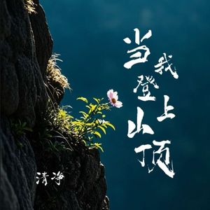 当我登上山顶