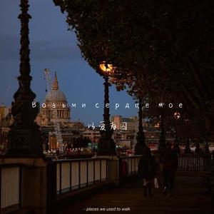 Возьми сердце моё(以爱为囚)（DJ版）