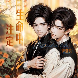 生命中注定 伴奏