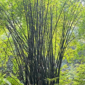 修改音质-凡无所失皆非我所有.mp3