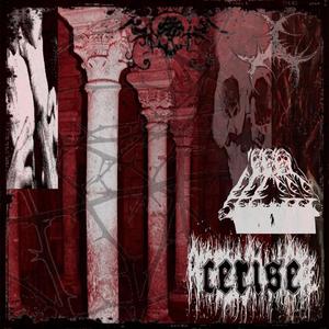 cerise (feat. Skylar Reyes)