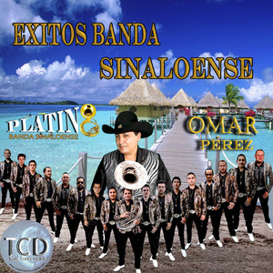 Quiciera Ser