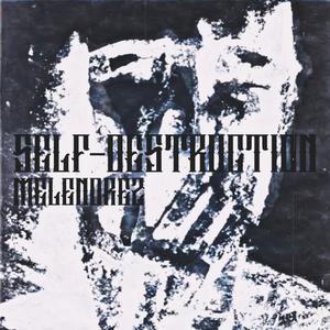 SELF-DESTRUCTION (NO VOCALS)