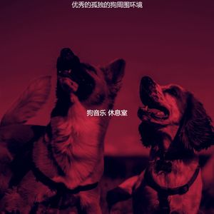 优美小狗器乐