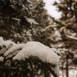 高兴（翻自 齐一）