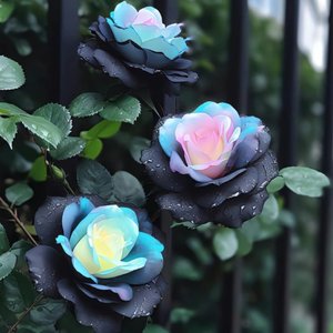 四季无芸（prod of 白昼星）